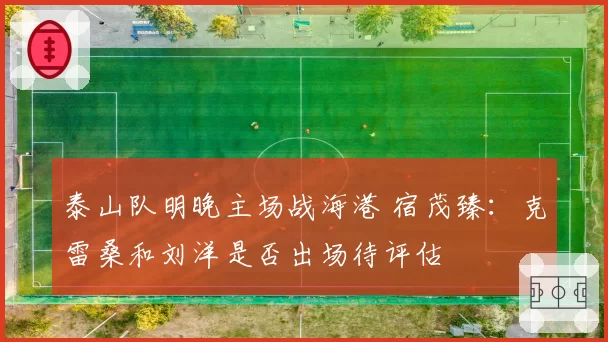 泰山队明晚主场战海港 宿茂臻：克雷桑和刘洋是否出场待评估