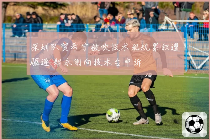 深圳队贺希宁被吹技术犯规累积遭驱逐 郑永刚向技术台申诉